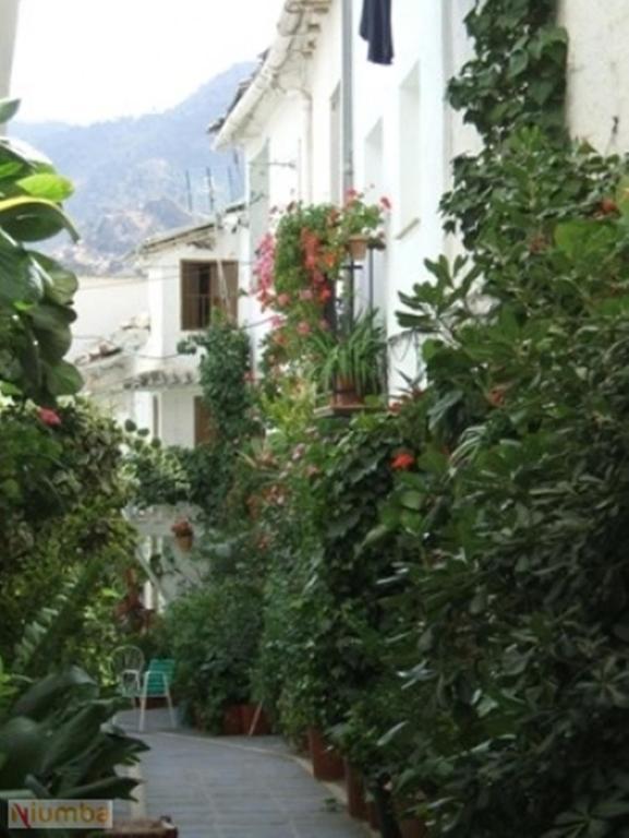 Vivienda Turistica Arabeluj Apartment Guejar Sierra Exterior photo